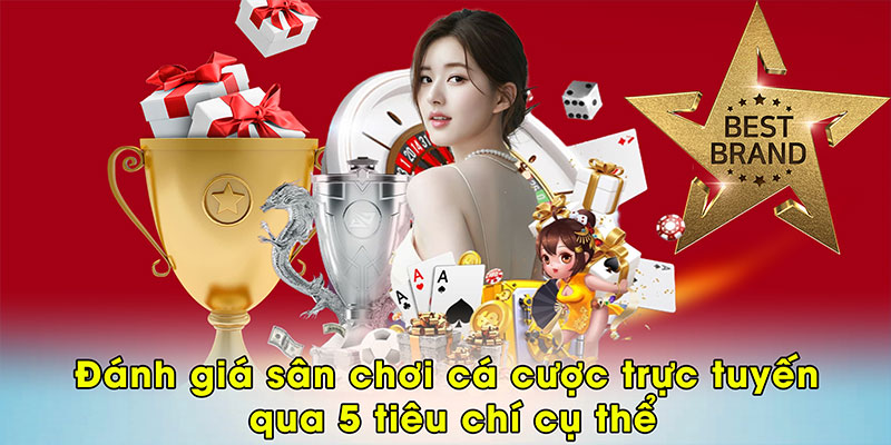 Đánh giá sân chơi cá cược trực tuyến qua 5 tiêu chí cụ thể